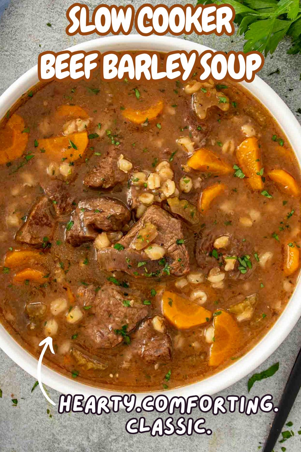 pin for slow cooker beef barley soup.