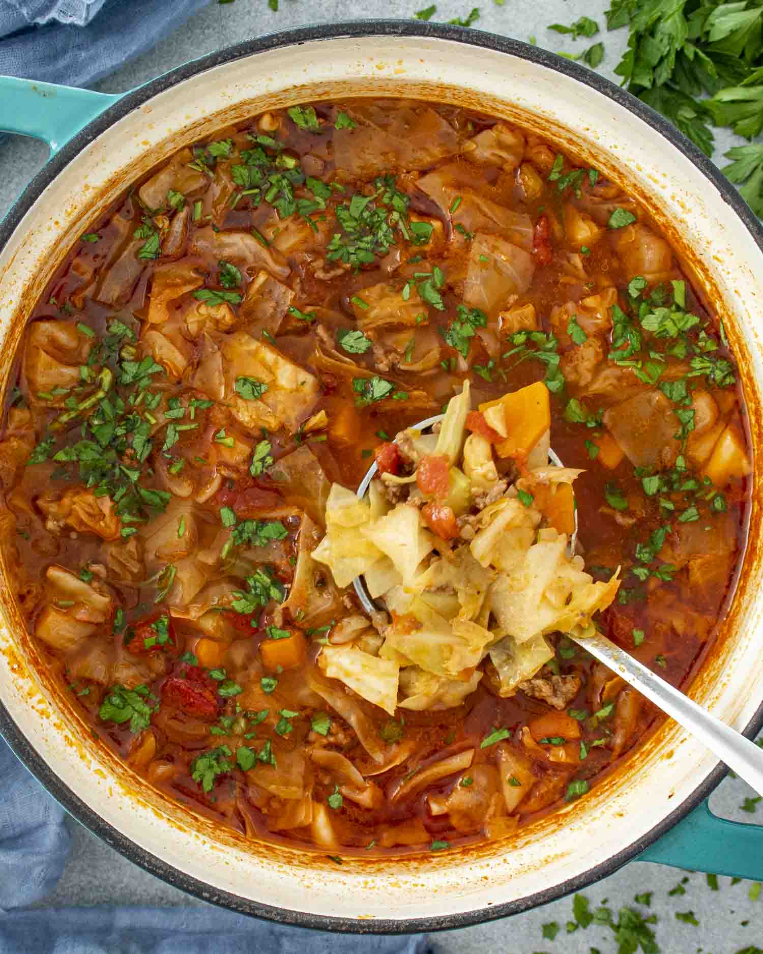 Beef and Cabbage Soup