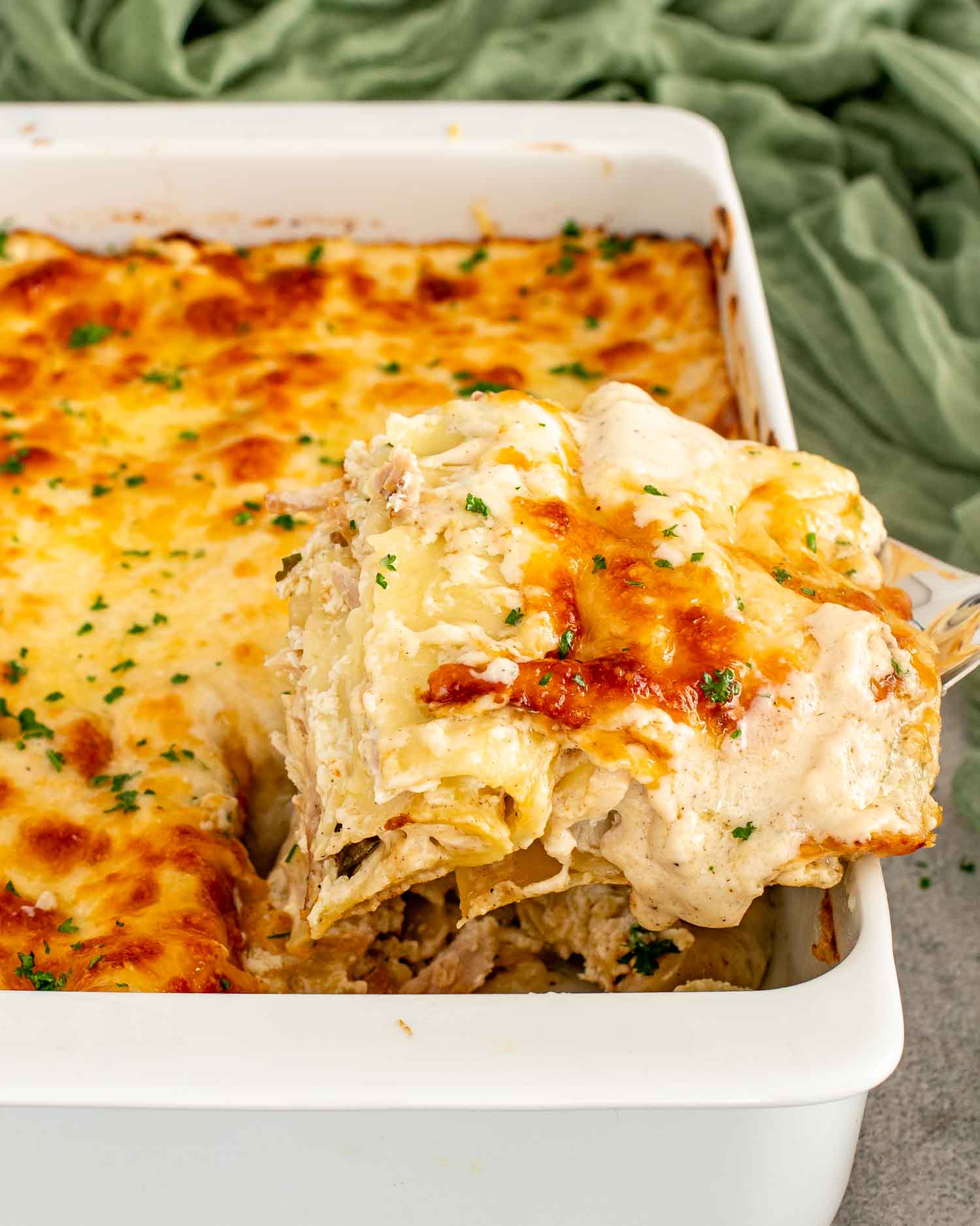 White Chicken Lasagna Roll Ups