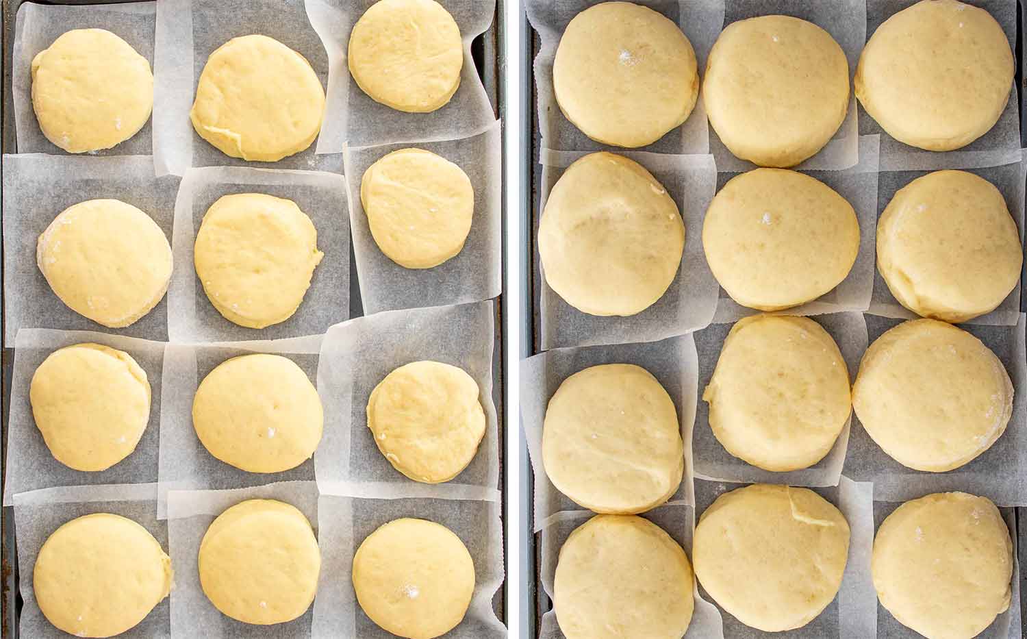 Two photos showing raw donut dough circles resting on individual squares of parchment paper to rise before they are fried.