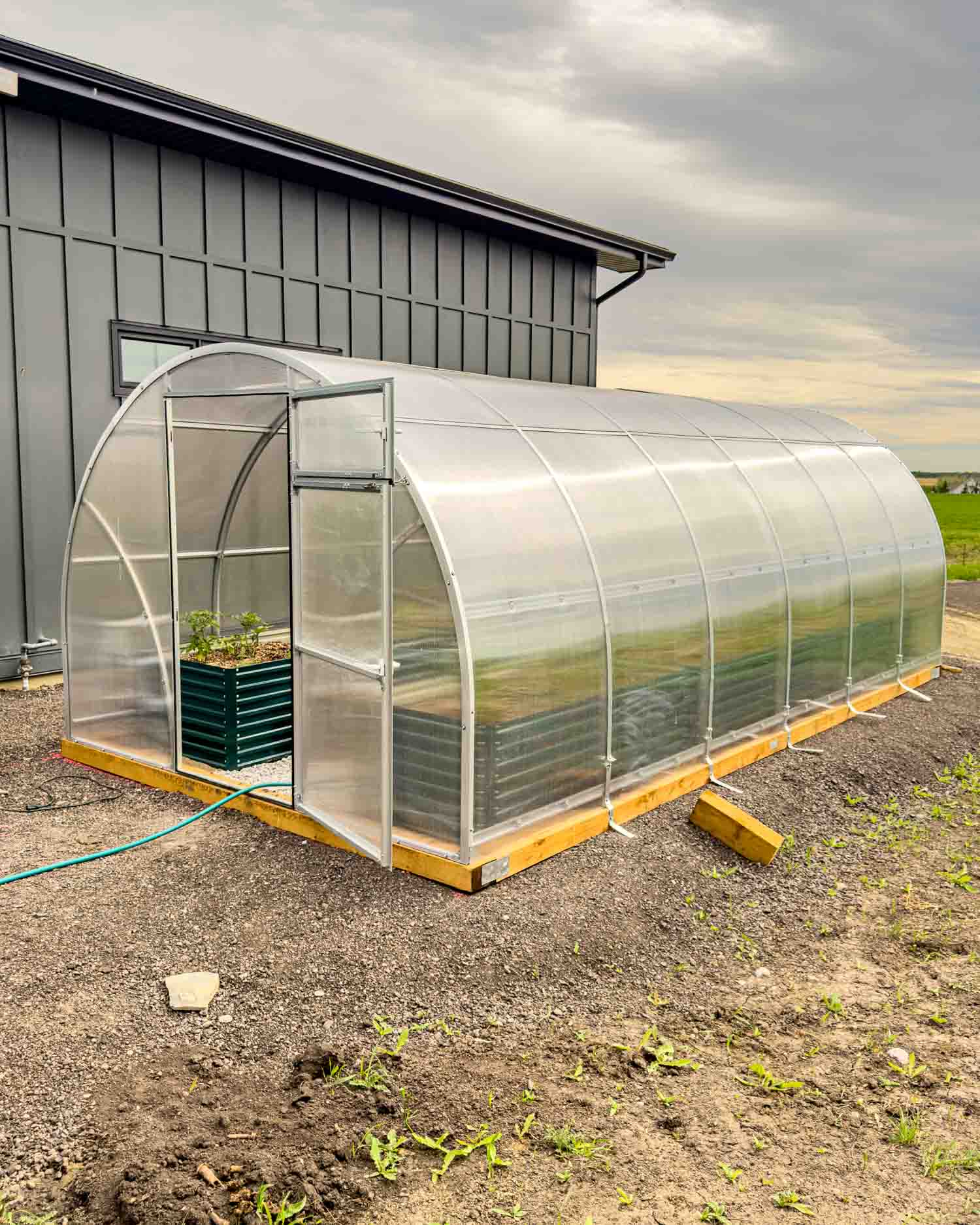 A 10 by 20 foot polycarbonate greenhouse with open door beside a dark grey steel building on an Alberta acreage under a dramatic cloudy sky.