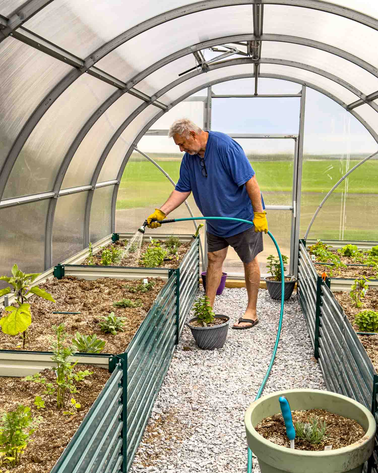 We Built a Greenhouse