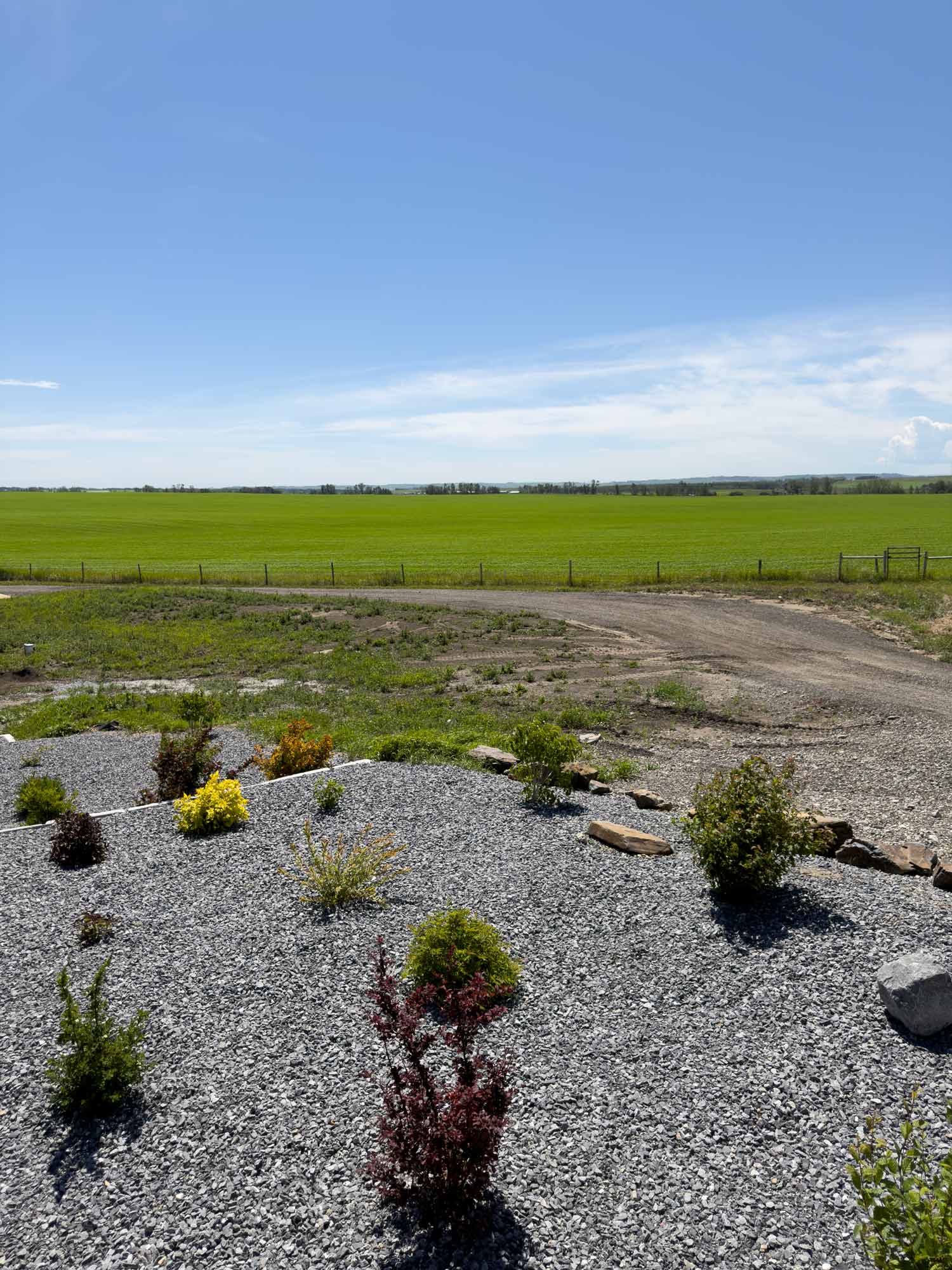 Wide prairie landscape with lush green fields, gravel landscaping, and uninterrupted horizon beneath clear blue skies on peaceful countryside acreage.