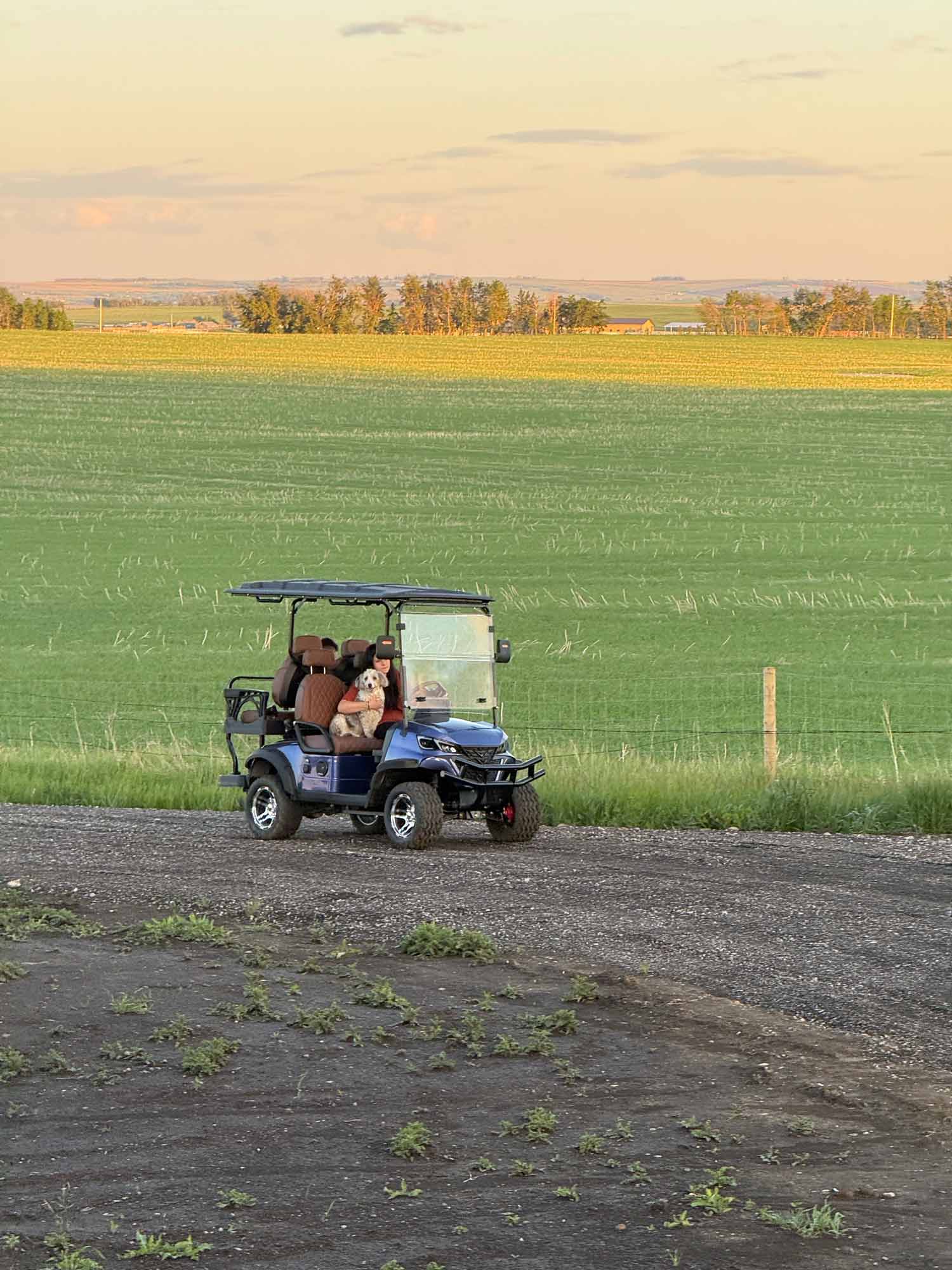solo in golf cart.