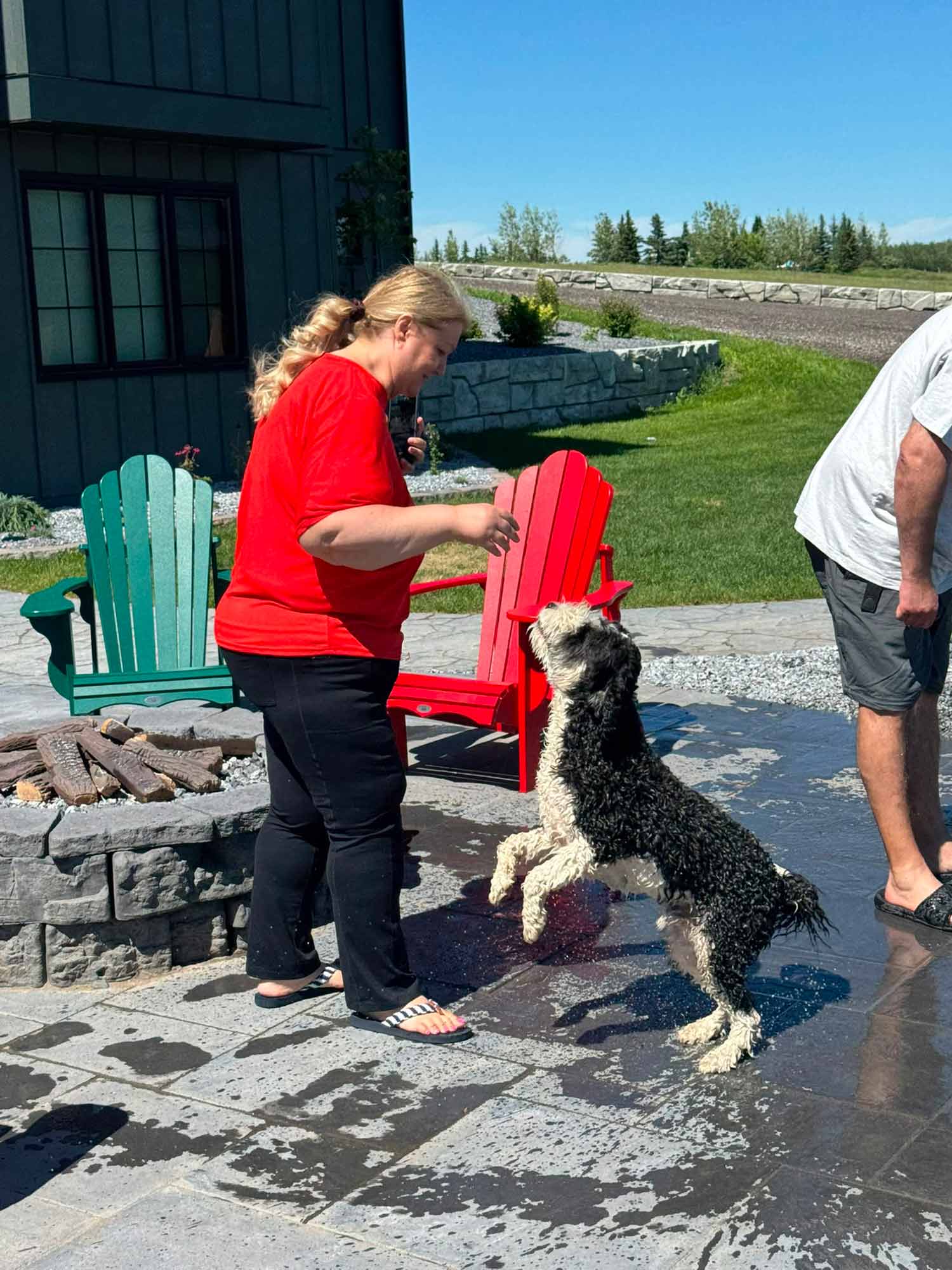 Woman in a bright red shirt plays with an excited black and white doodle beside a sunny backyard patio and fire pit.