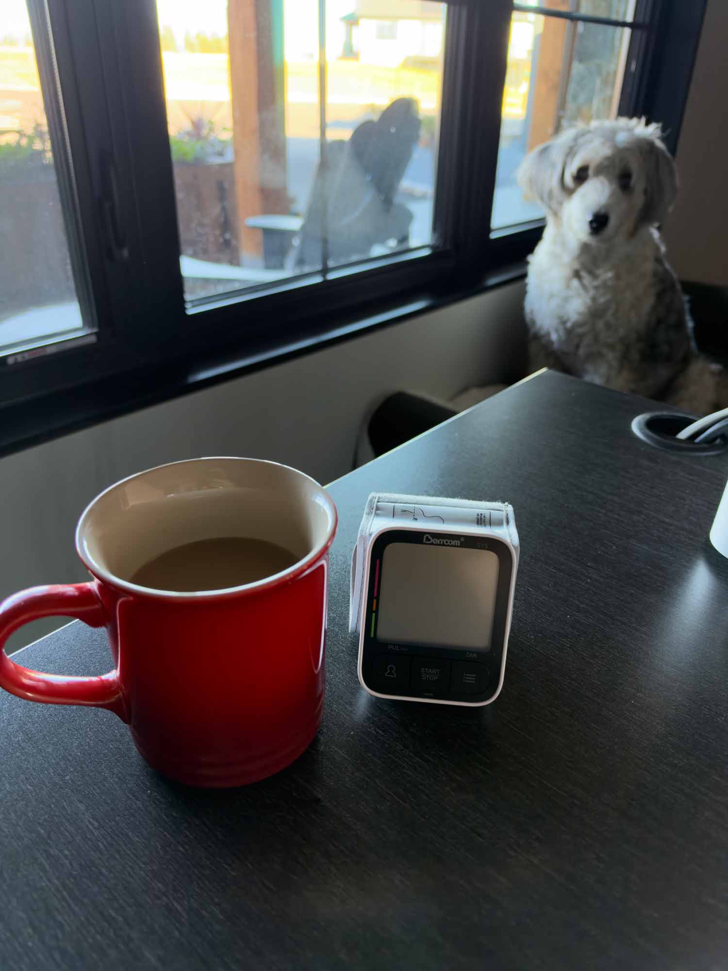 Morning coffee in a red mug beside a digital blood pressure monitor, with a fluffy dog sitting nearby.