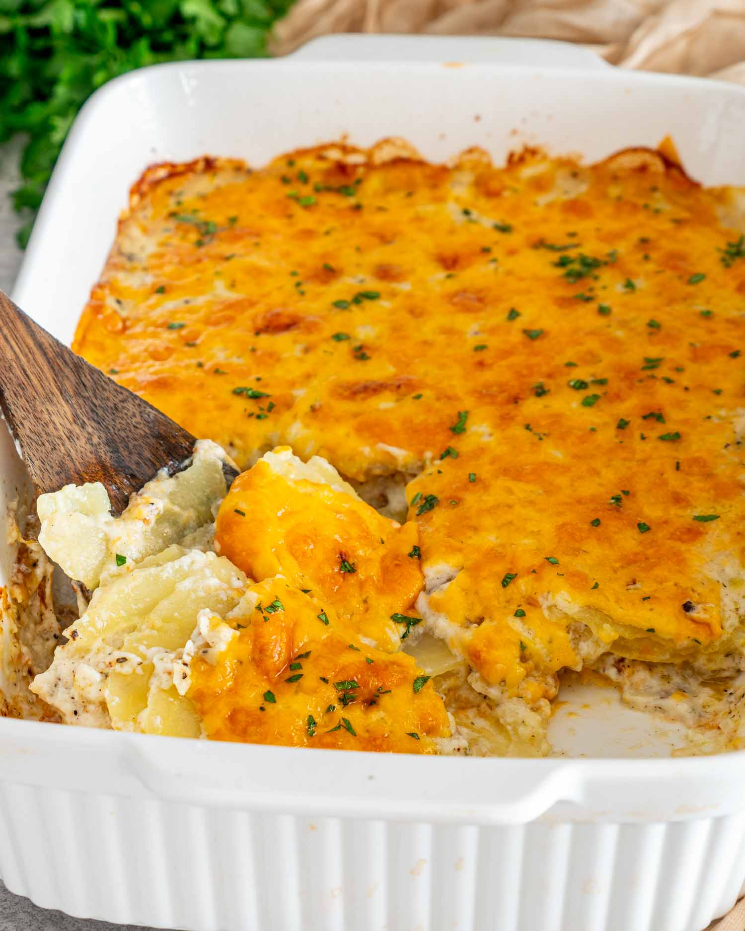 Scalloped Potatoes