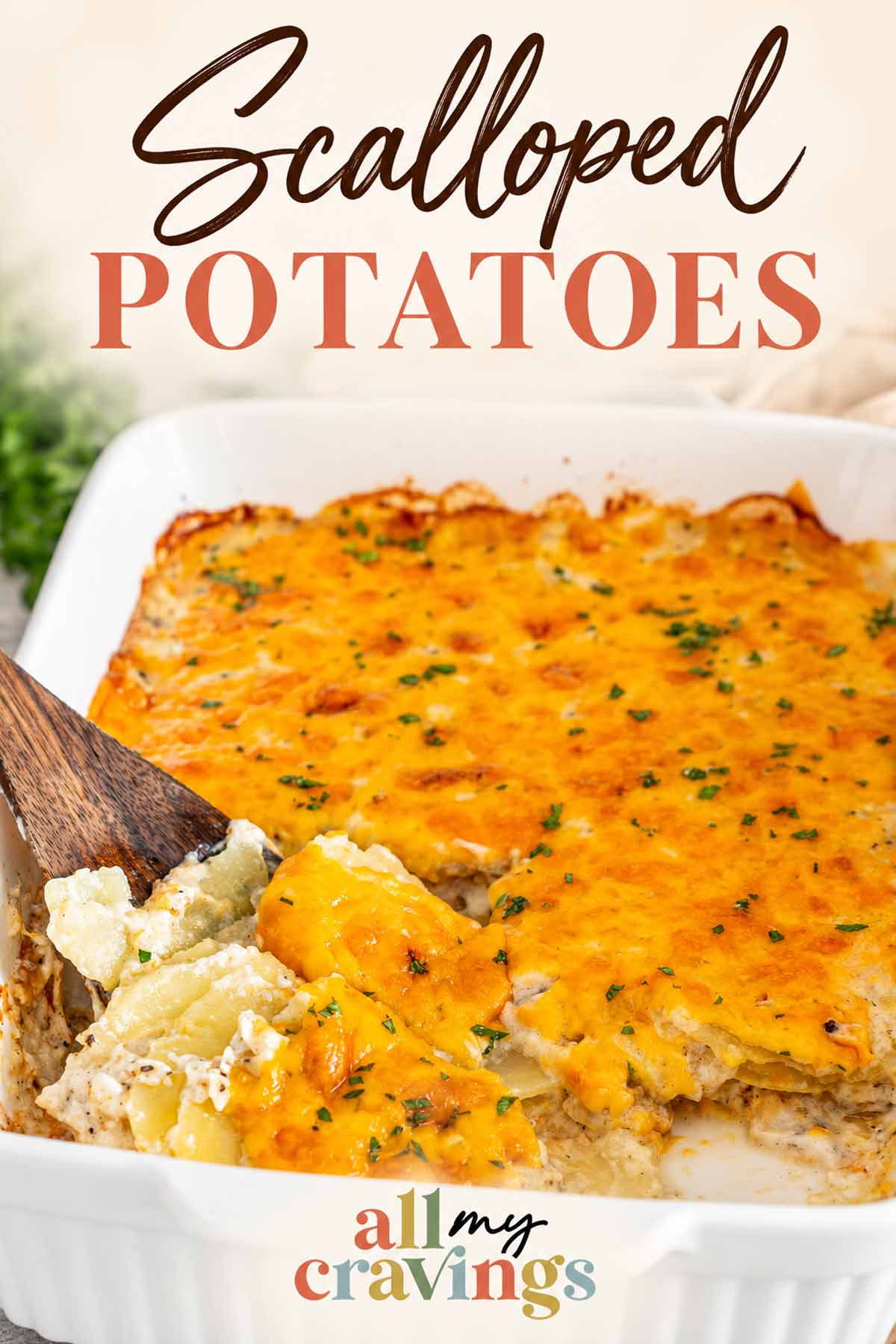 Pinterest graphic featuring golden scalloped potatoes in a casserole dish with the recipe title and All My Cravings logo.